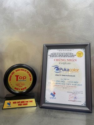 Công ty TNHH Pukacolor 2 top 10 hang som hieu ung